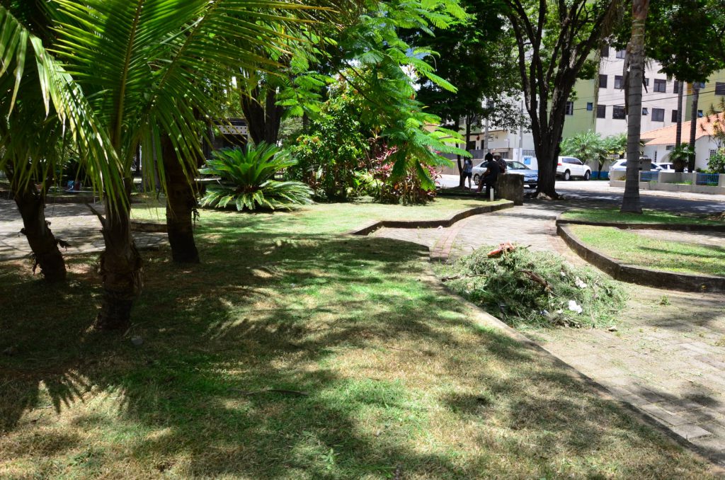 limpeza de praça