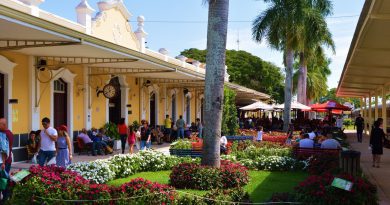 Festival Gastronômico