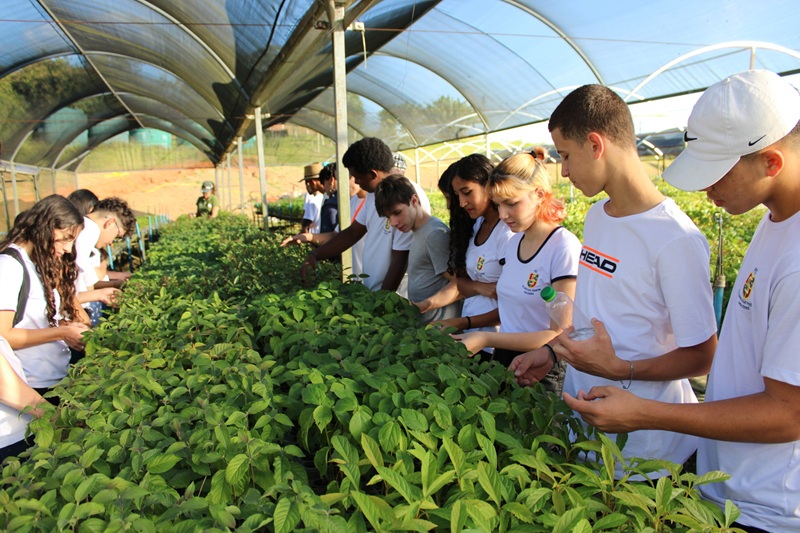 Copaíba aposta na Educação Ambiental para a transformação e formação de cidadãos mais conscientes