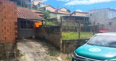 GCM de Lindoia resgata cão vítima de maus-tratos no centro da cidade