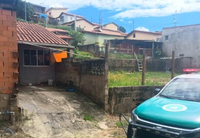 GCM de Lindoia resgata cão vítima de maus-tratos no centro da cidade