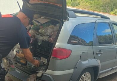 Ação da GCM de Lindoia prende homem que transportava peças de motos sem Nota Fiscal Ação da GCM de Lindoia prende homem que transportava peças de motos sem Nota Fiscal