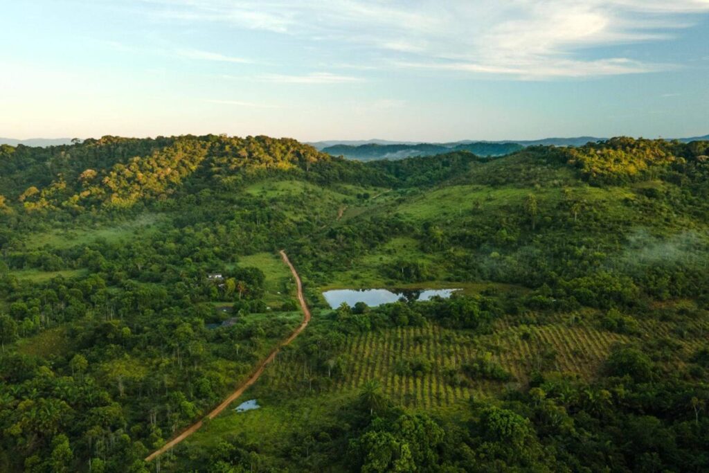 wwf-brasil