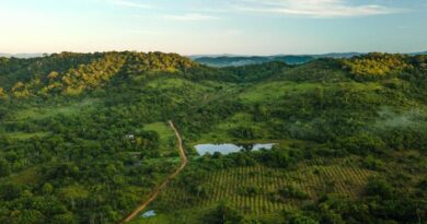 wwf-brasil