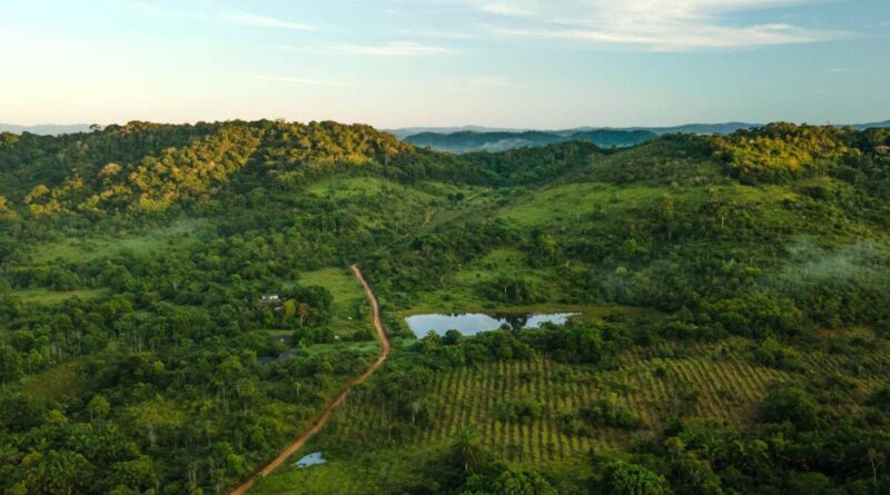 wwf-brasil