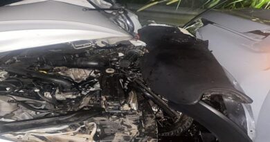 Vítima fatal