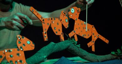 Águas de Lindoia recebe espetáculo infantil “Formas de Filhotes” no dia 13/06