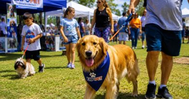 ExpoPet 2026 reúne cães, gatos e famílias em Lindoia neste domingo ExpoPet 2026 reúne cães, gatos e famílias em Lindoia neste domingo