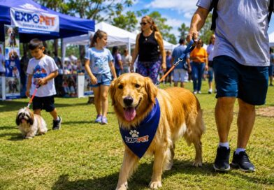 ExpoPet 2026 reúne cães, gatos e famílias em Lindoia neste domingo ExpoPet 2026 reúne cães, gatos e famílias em Lindoia neste domingo