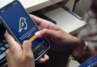 Aplicativo Pardal já está no ar; veja como denunciar irregularidades na propaganda eleitoral Aplicativo Pardal já está no ar; veja como denunciar irregularidades na propaganda eleitoral